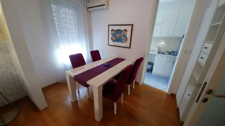 TRIM - one-bedroom apartment in New Belgrade (Belvil)